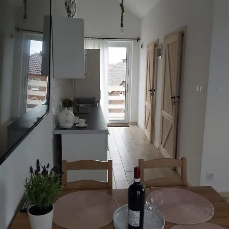 公寓 Nowe Hel Kuźnica